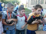 Kisllat bemutat