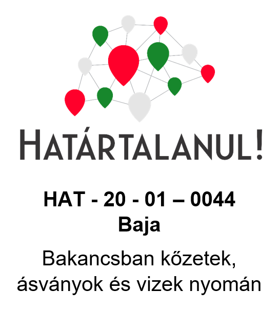 Hatrtalanul 2020. Baja (beszmol)