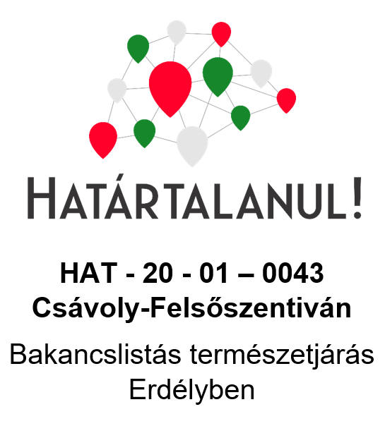 Hatrtalanul 2020. Csvoly-Felsszentivn (beszmol)