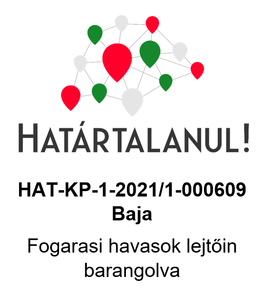 Hatrtalanul 2021. Baja (beszmol)