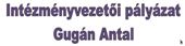 Intzmnyvezeti plyzat